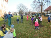 Výsadba u MŠ 2015 - sponzorováno firmou PAJR s.r.o.Vlkava